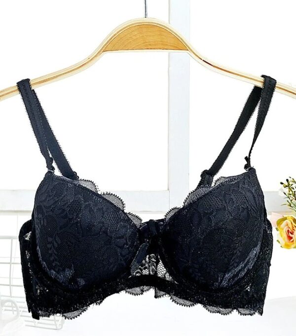 Floral Lightly Padded Wired Bra Price Pakistan