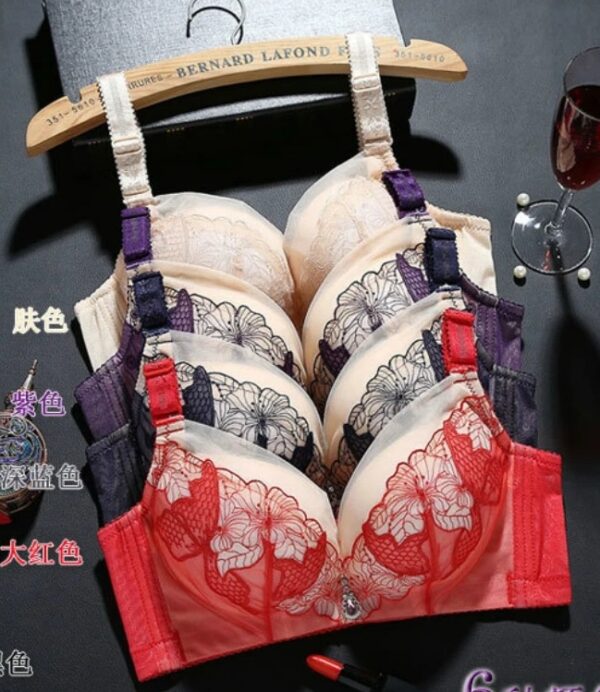 Floral Padded Non Wired Bra Price Pakistan